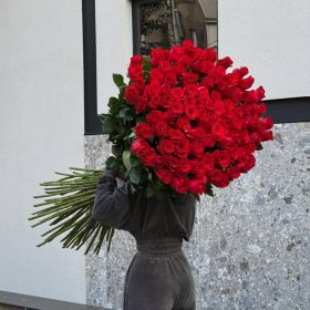31 гигантская Красная роза 160 см 