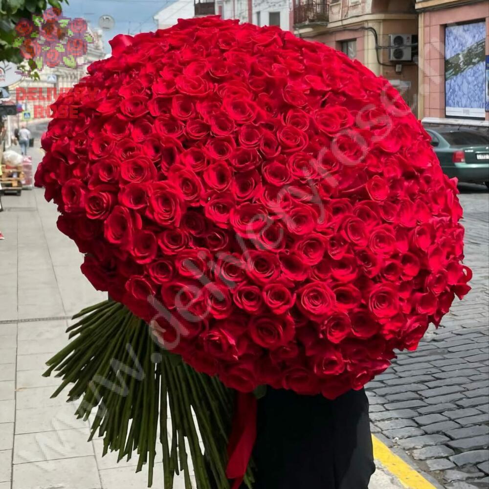 101 гигантская красная роза 160см